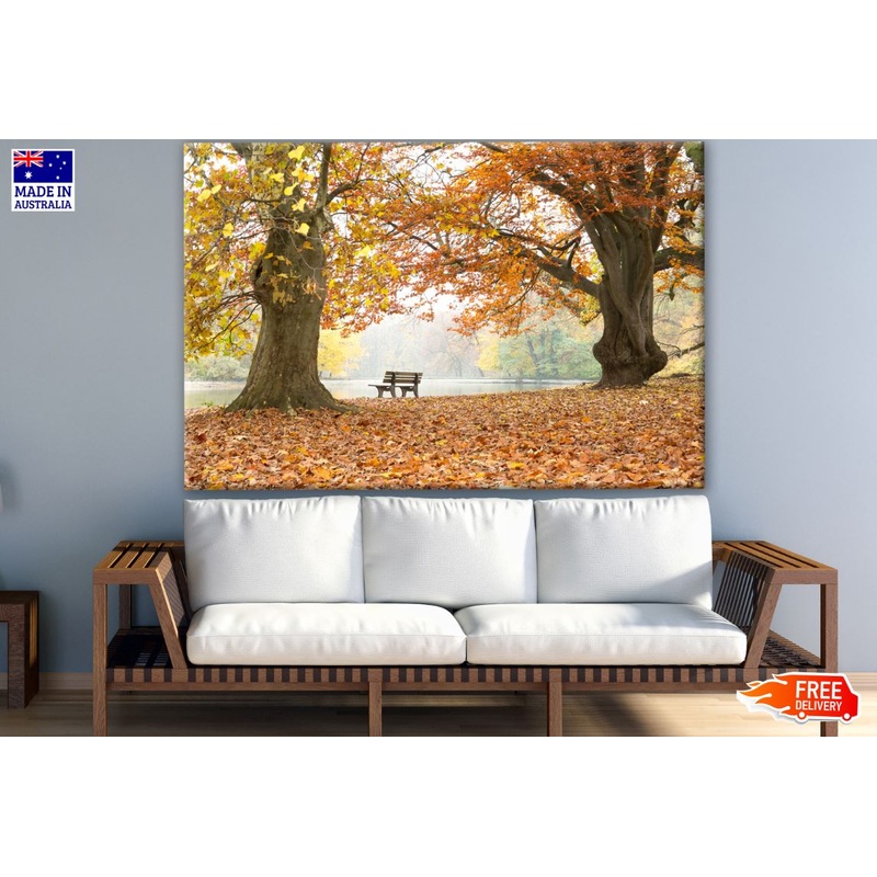 Wooden Bench in Autumn Tree Forest Photograph Print 100% Australian Made