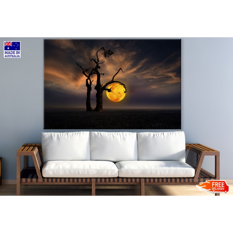 Tree & Moon Stunning Photograph Print 100% Australian Made