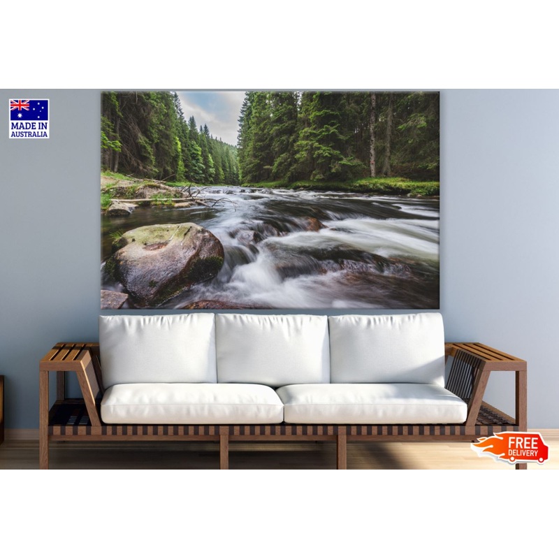 Waterstream in Forest Photograph Print 100% Australian Made