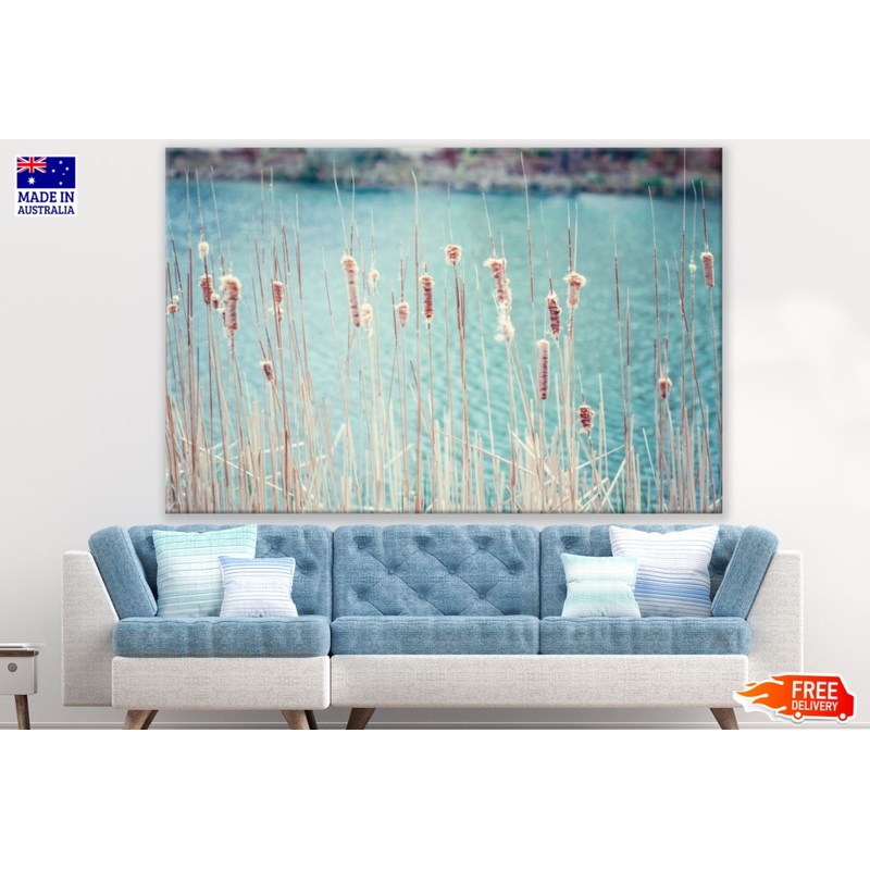 Wetland Grass Stunning Photograph Print 100% Australian Made