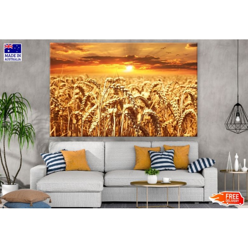 Wheat Field at Sunset Scenery Photograph Print 100% Australian Made