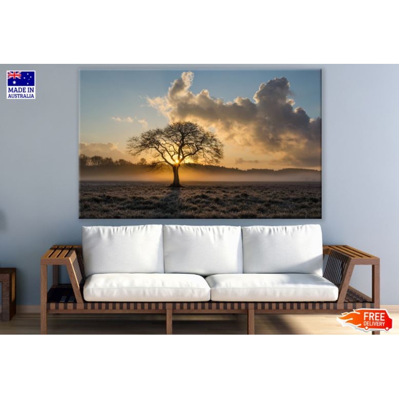 Alone Tree on Meadow at Sunset Scenery Photograph Print 100% Australian Made