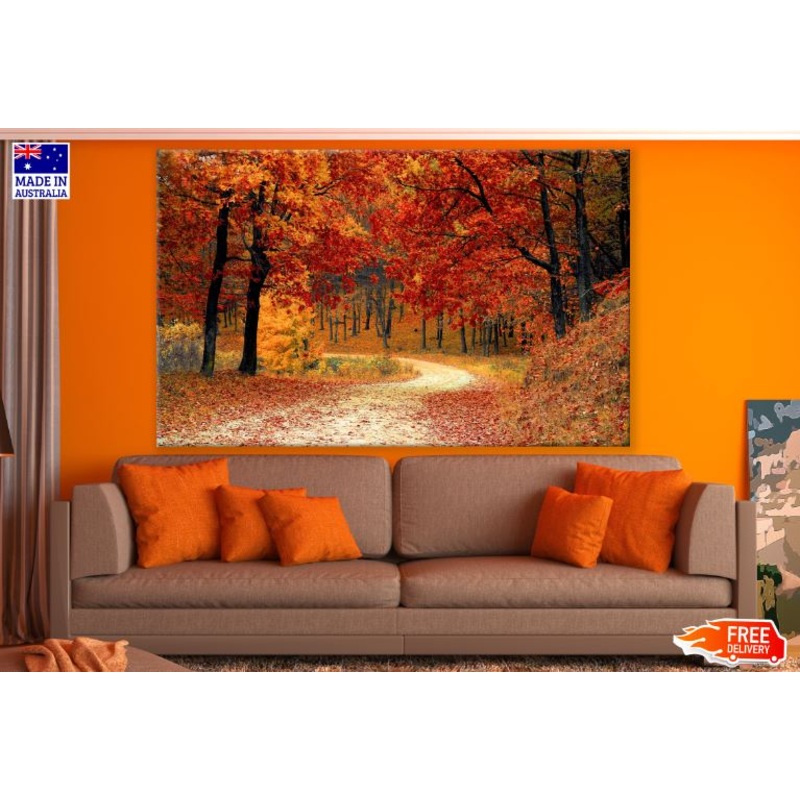 Autumn Forest Scenic View Photograph Print 100% Australian Made
