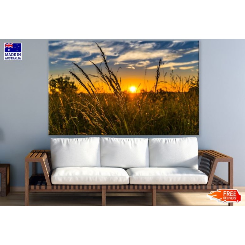 Sunset View Through Dry Grass Photograph Print 100% Australian Made