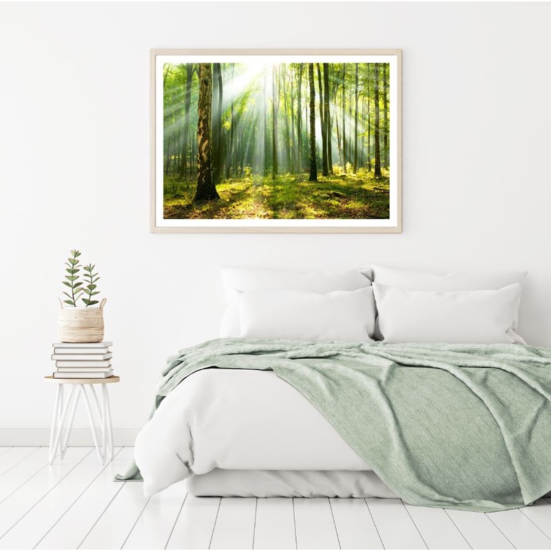 Sunrays in Forest Photograph Home Decor Premium Quality Poster Print Choose Your Sizes