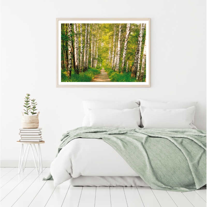 Tree Forest Scenery Photograph Home Decor Premium Quality Poster Print Choose Your Sizes