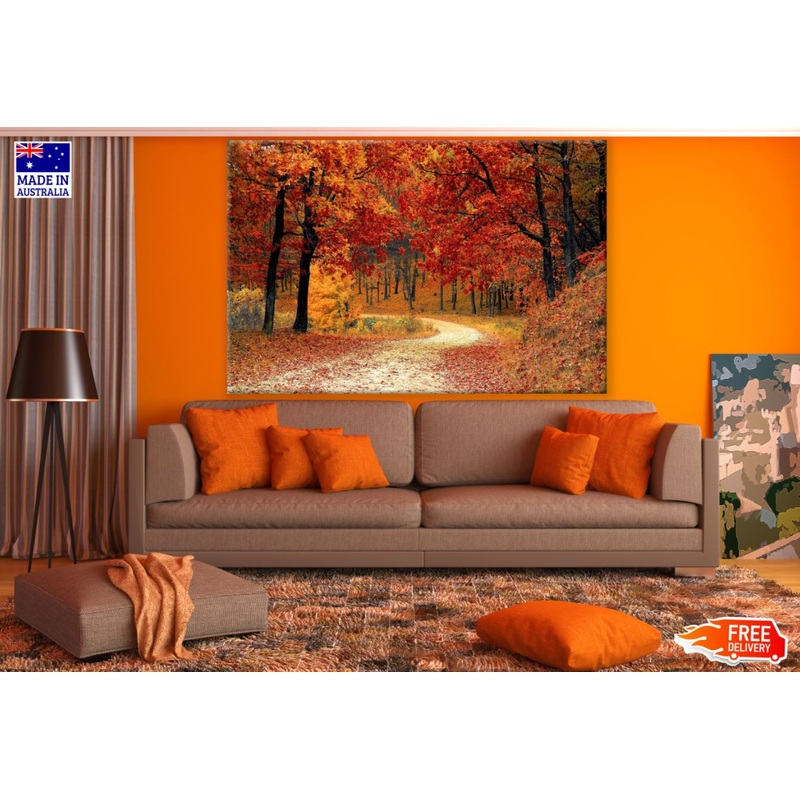 Autumn Forest Scenery Photograph Print 100% Australian Made
