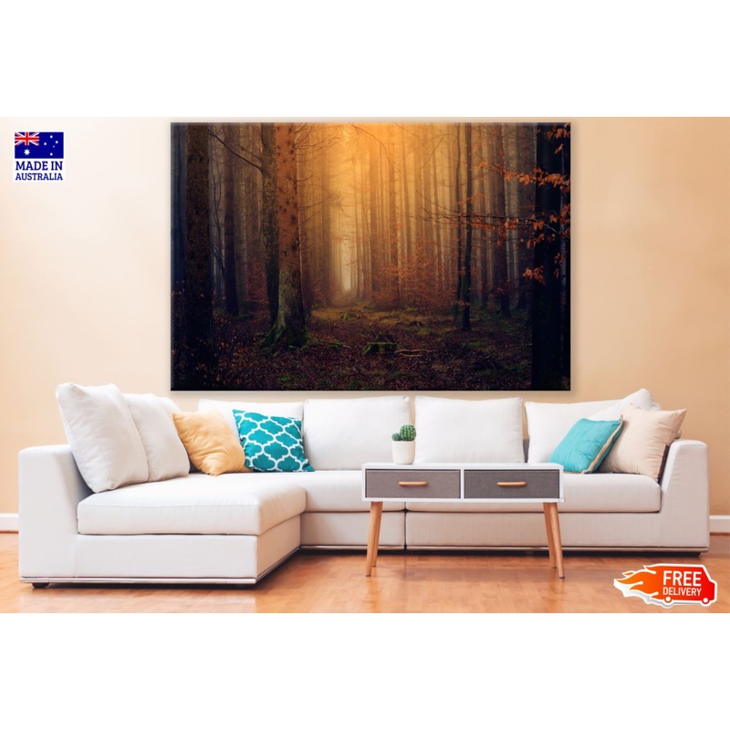 Autumn Forest Sunset View Print 100% Australian Made