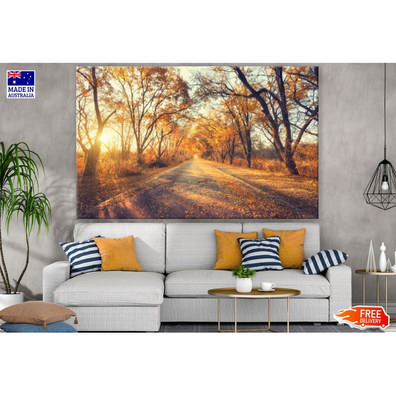Autumn Forest Sunset Photograph Print 100% Australian Made