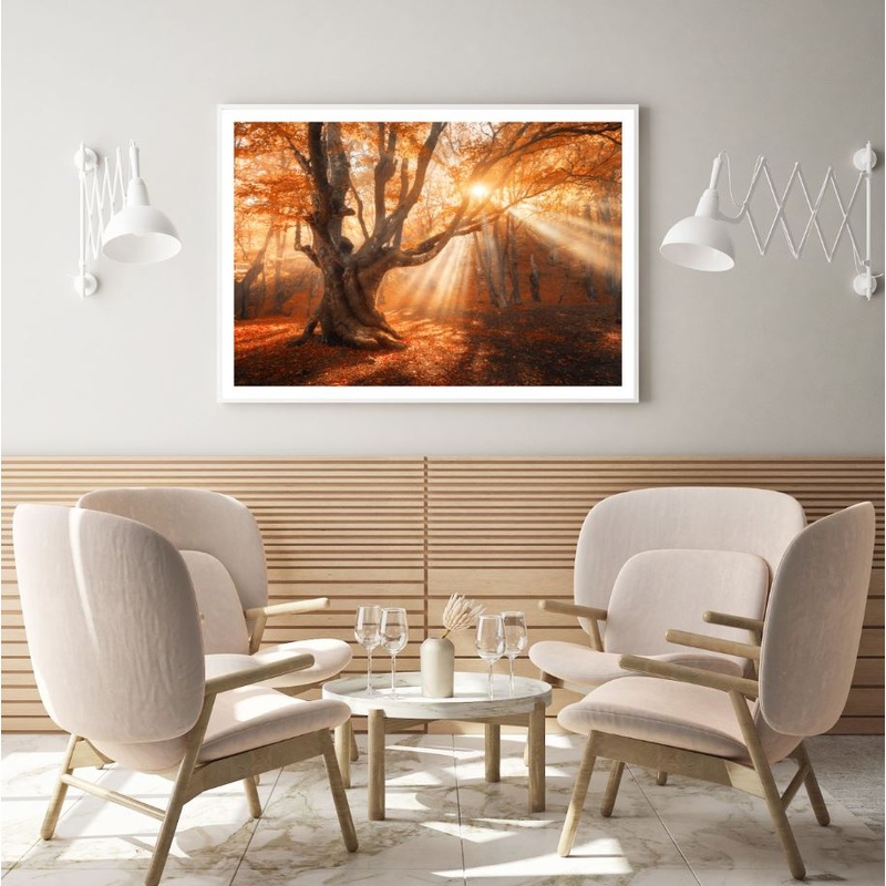 Autumn Forest Sunset Scenery Home Decor Premium Quality Poster Print Choose Your Sizes