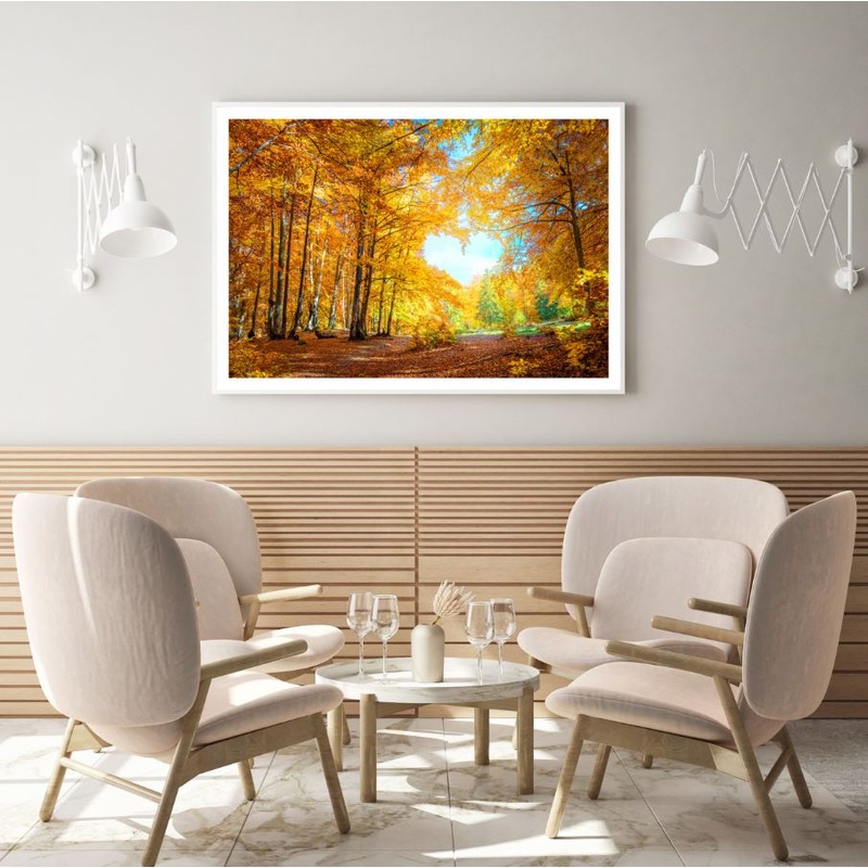 Autumn Trees Forest Photograph Home Decor Premium Quality Poster Print Choose Your Sizes