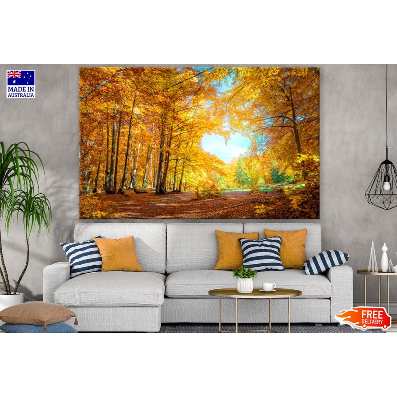 Autumn Trees Forest Photograph Print 100% Australian Made