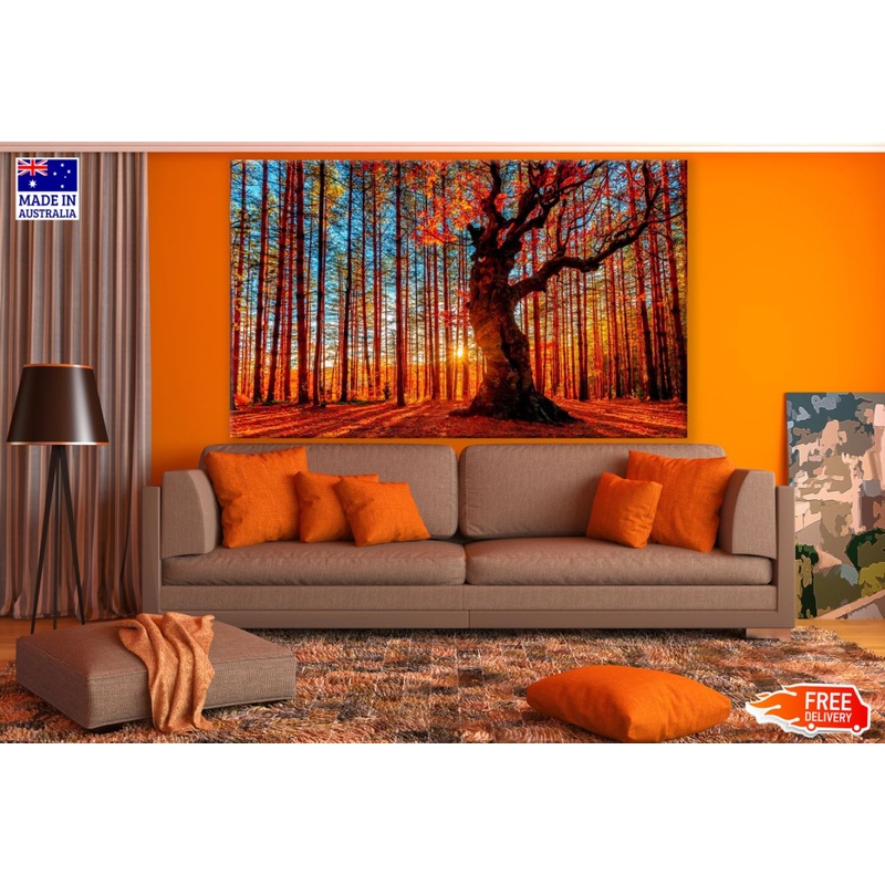 Sunset View through Trees Print 100% Australian Made