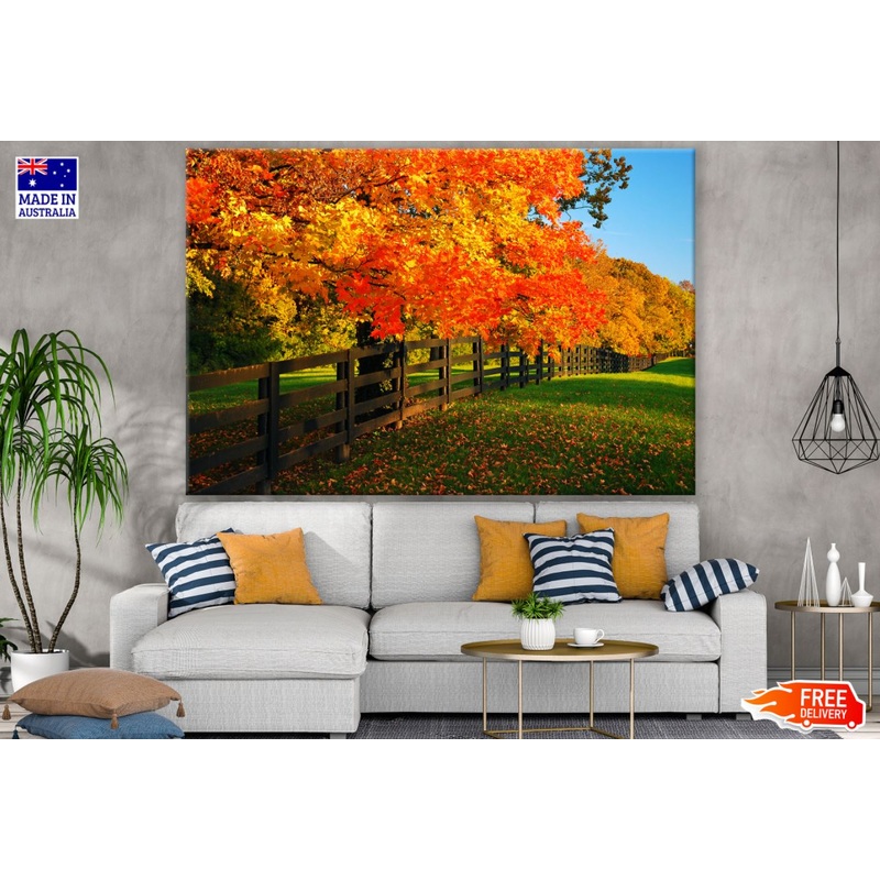 Autumn Forest & Fence Photograph Print 100% Australian Made