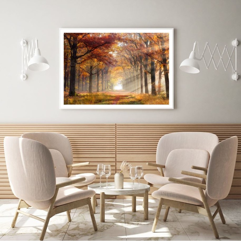 Autumn Forest Sunray Photograph Home Decor Premium Quality Poster Print Choose Your Sizes