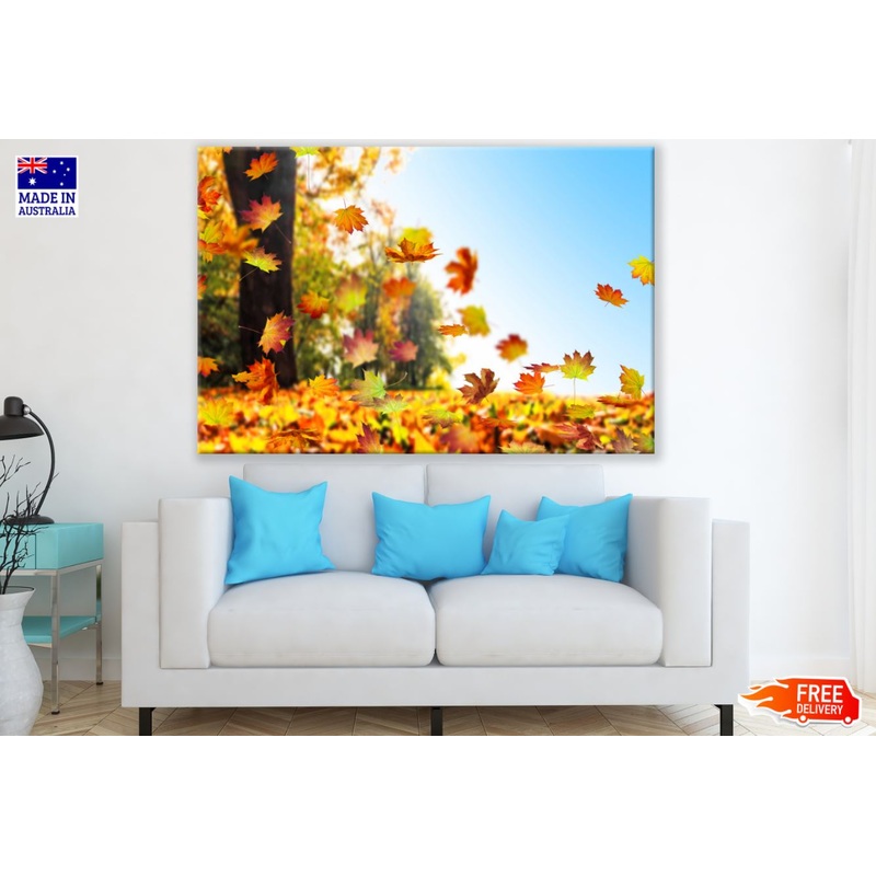 Autumn Leaves Falling Photograph Print 100% Australian Made
