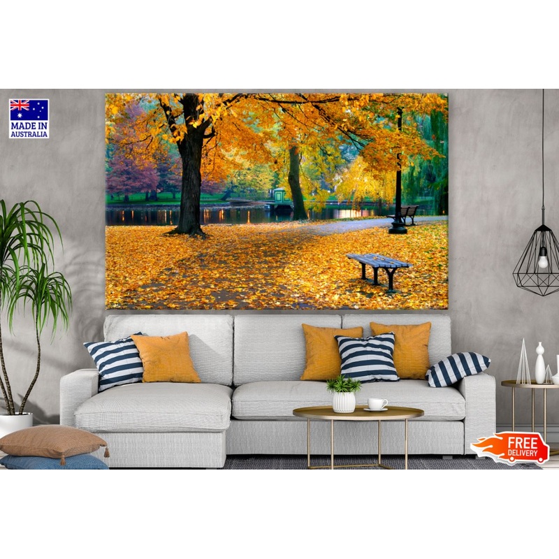 Autumn Tree Park Photograph Print 100% Australian Made