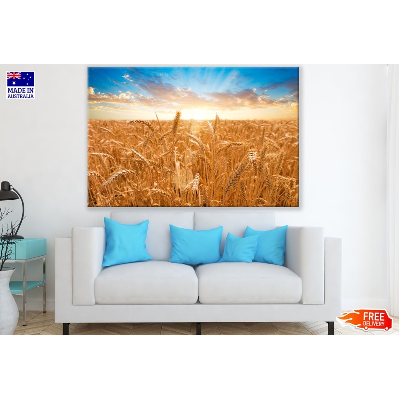 Wheat Field Sunrise Photograph Print 100% Australian Made