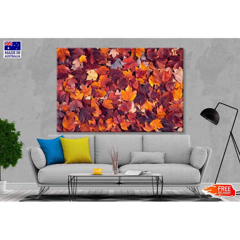 Autumn Leaves Closeup View Wall Art Decor 100% Australian Made