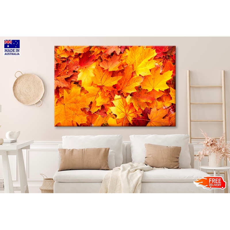 Autumn Orange Leaves View Wall Art Decor 100% Australian Made