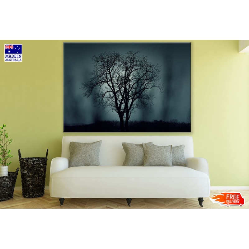 Tree & Dark Nature Photograph Print 100% Australian Made