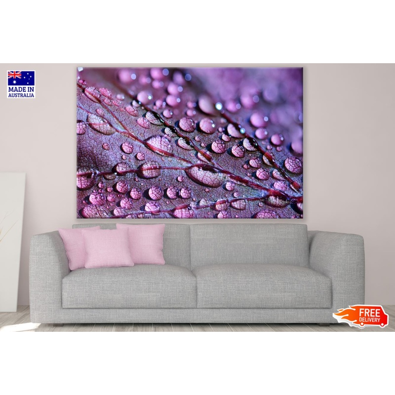 Waterdrops on Leaf Closeup View Print 100% Australian Made