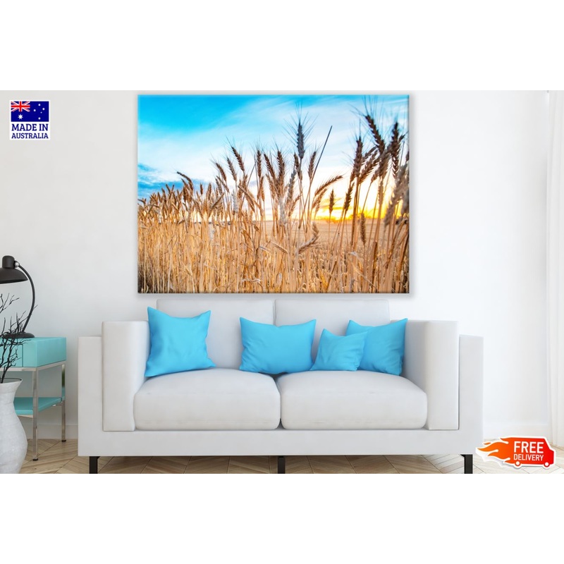 Wheat Field Sunset Photograph Print 100% Australian Made