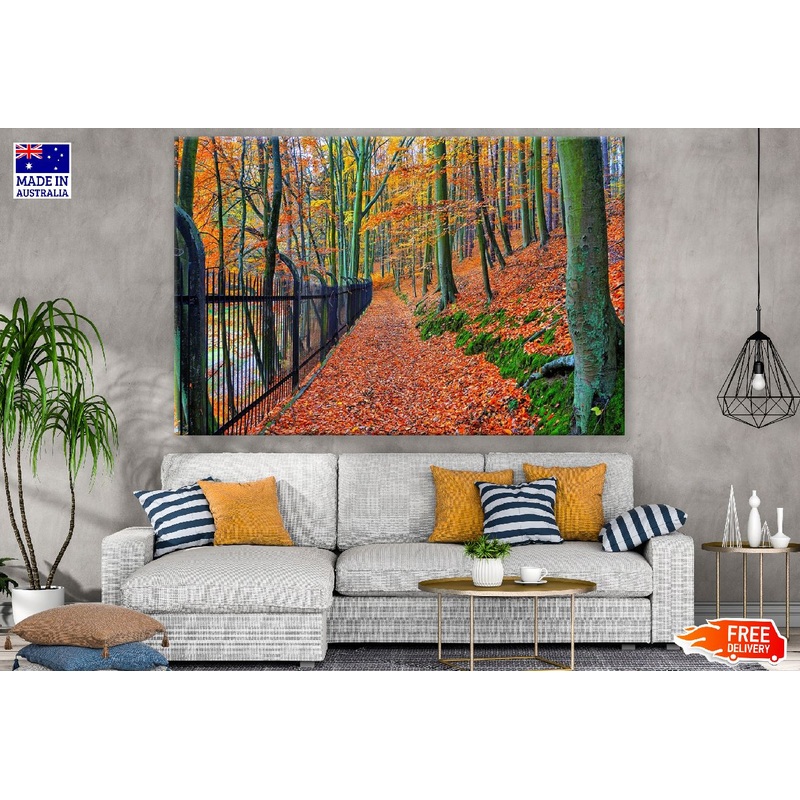 Autumn Bend & Park Trees Photograph Print 100% Australian Made