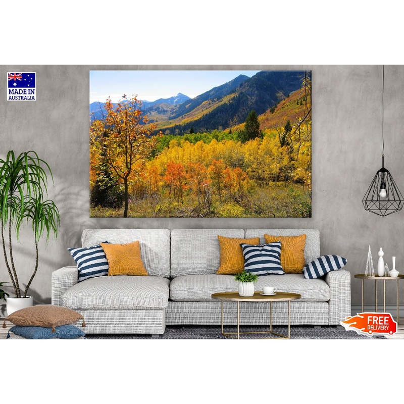 Autumn Trees & Mountains View Photograph Print 100% Australian Made