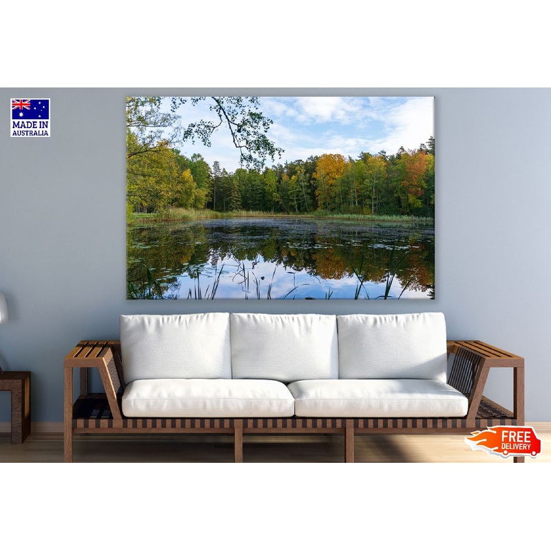 Autumn Trees with Lake Photograph Sweden Print 100% Australian Made