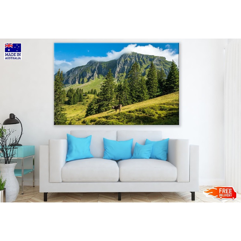 Trees in Mountains with Clouds Photograph Print 100% Australian Made