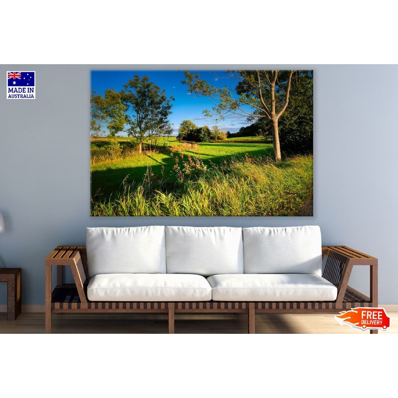 Trees on Grass Field Sunset Photograph Print 100% Australian Made