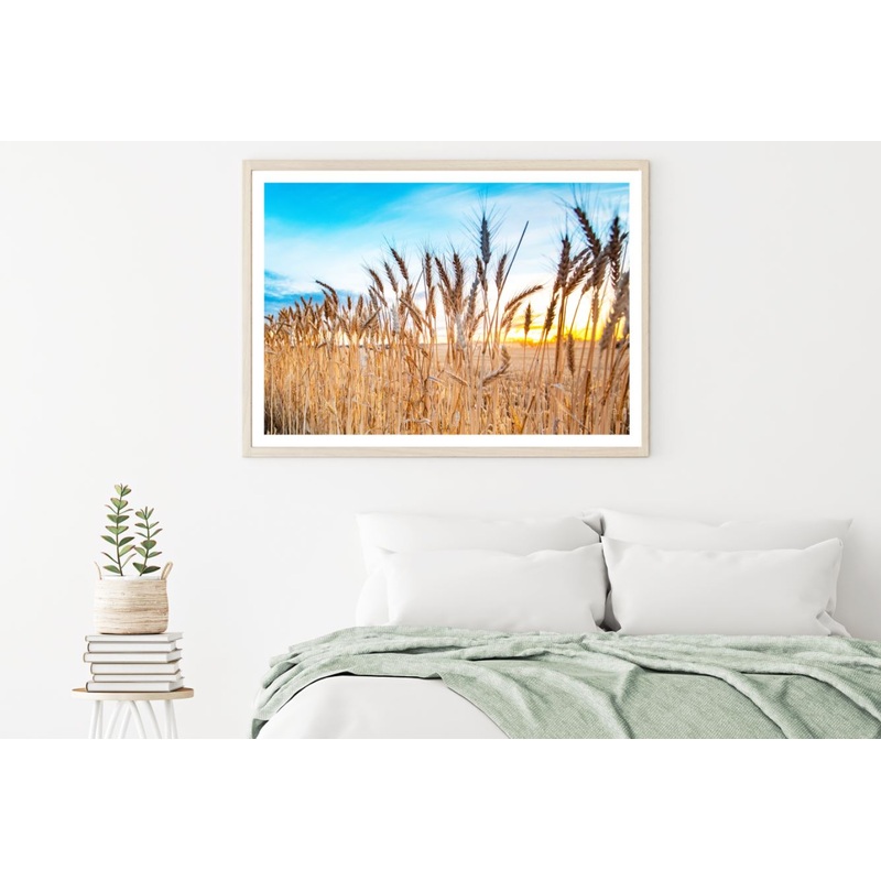 Wheat Field Sunset Photograph Home Decor Premium Quality Poster Print Choose Your Sizes