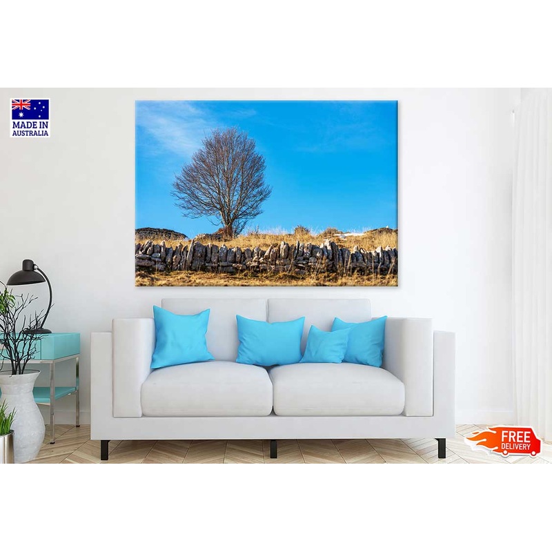 Bare Beech Tree & Stone Wall View Photograph Print 100% Australian Made