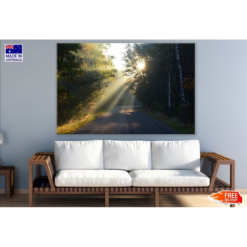 Sun Rays on the Road in Forest Photograph Print 100% Australian Made