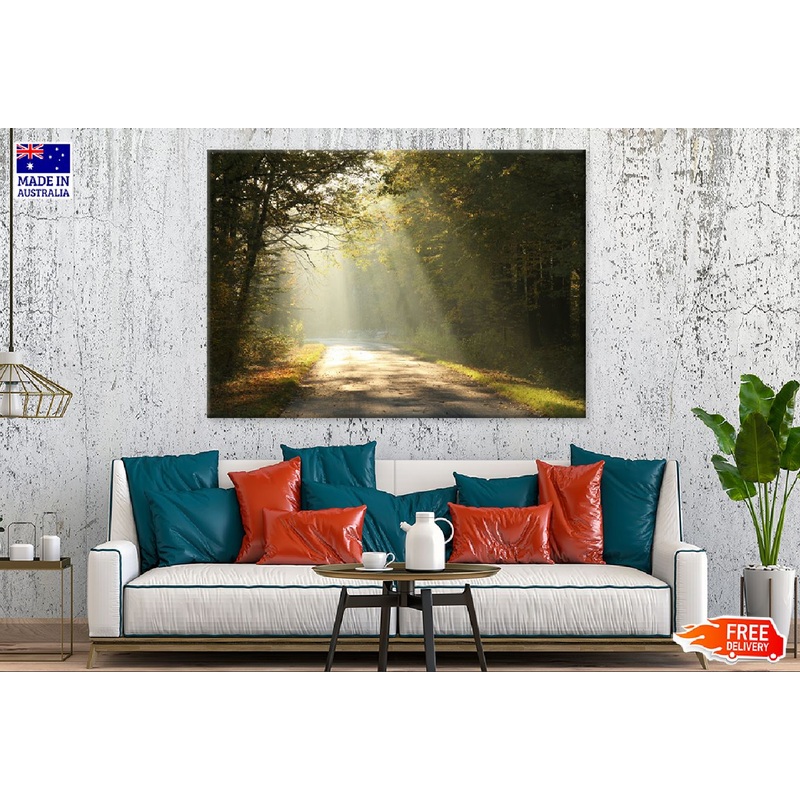 Sunshine on Forest Road View Photograph Print 100% Australian Made