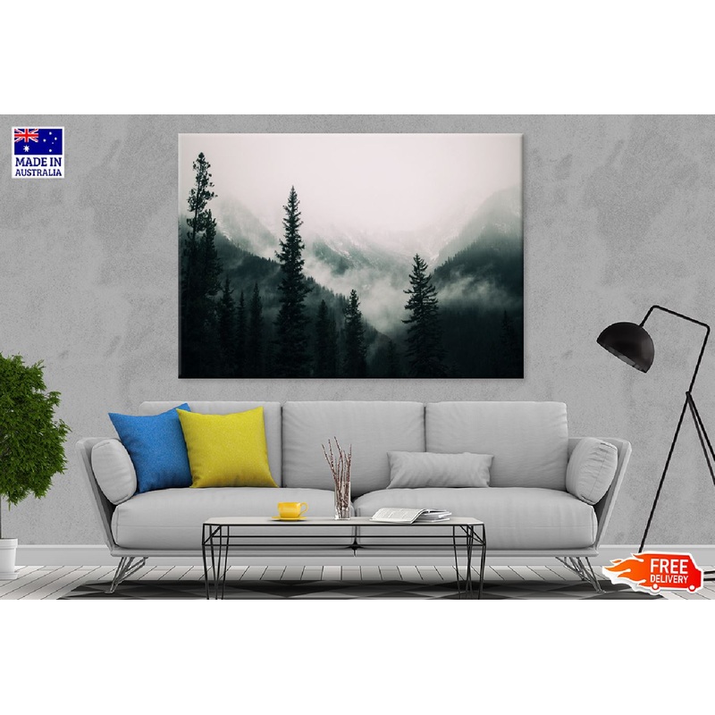 Tall Trees & Mountains with Fog Photograph Print 100% Australian Made