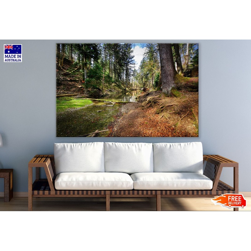 Trees Forest Valley Landscape Creek Photograph Print 100% Australian Made