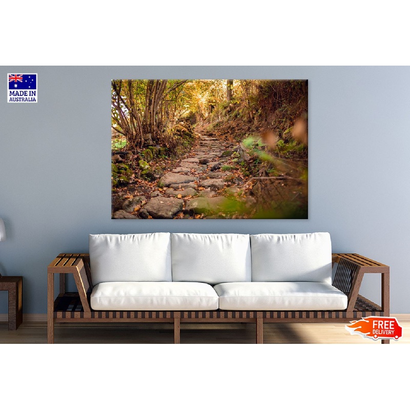 Walk Roman Road Forest View Photograph Print 100% Australian Made