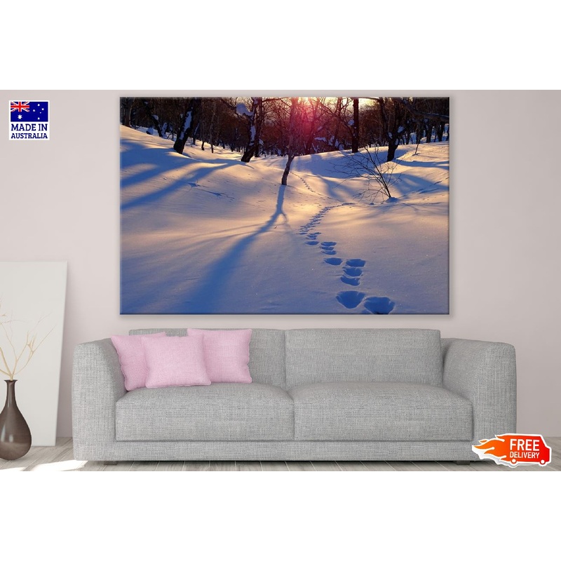 Winter Mountain Forest Sunset Photograph Print 100% Australian Made