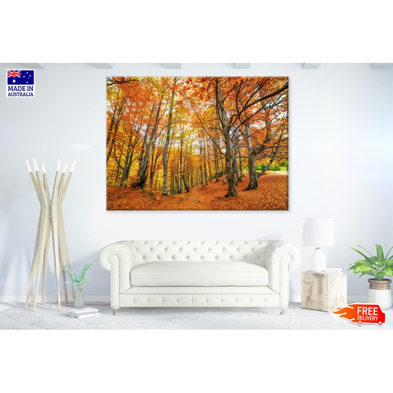Autumn Leaves Photograph Print 100% Australian Made