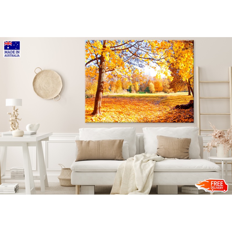 Autumn Trees & Sunset View Photograph Print 100% Australian Made