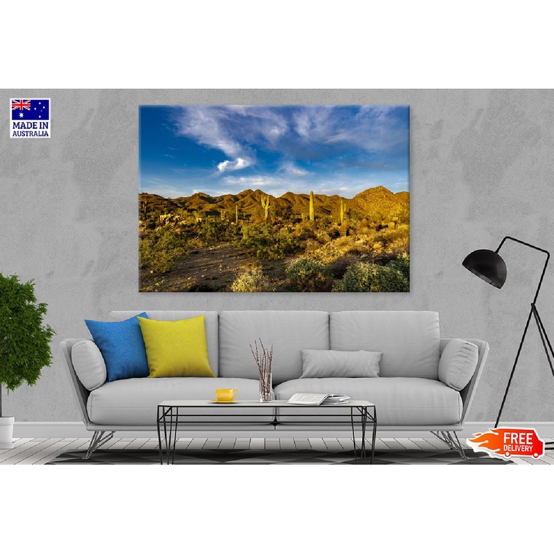 Sunset Sonoran Desert View Photograph Print 100% Australian Made