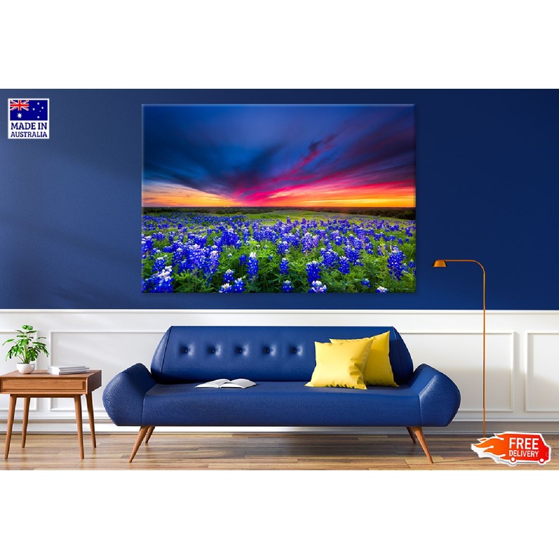 Texas Pasture Filled Sunset Scenery  Print 100% Australian Made