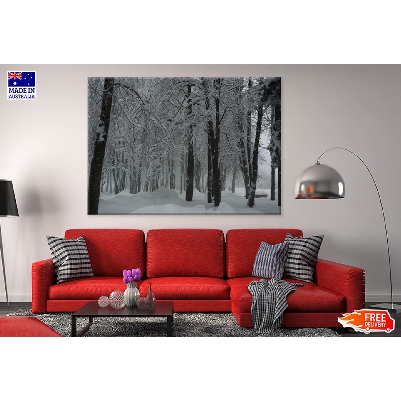 Trees Covered with Snow Forest Photograph Print 100% Australian Made