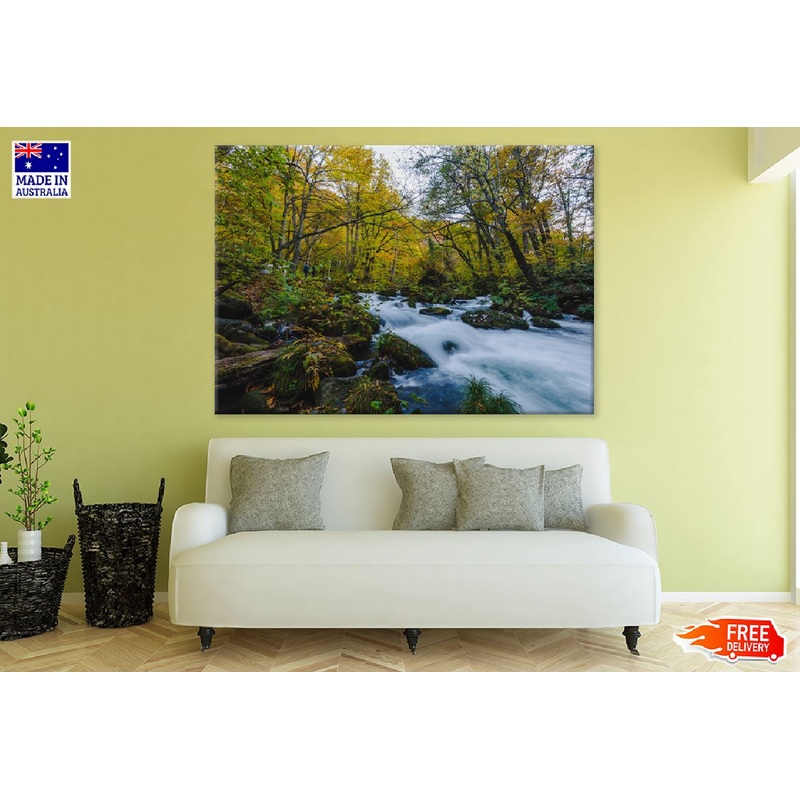 Water Stram Surrounded by Forest View Photograph Print 100% Australian Made