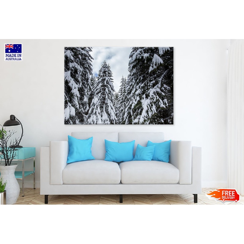 Winter Landscape Snow Forest View Photograph Print 100% Australian Made