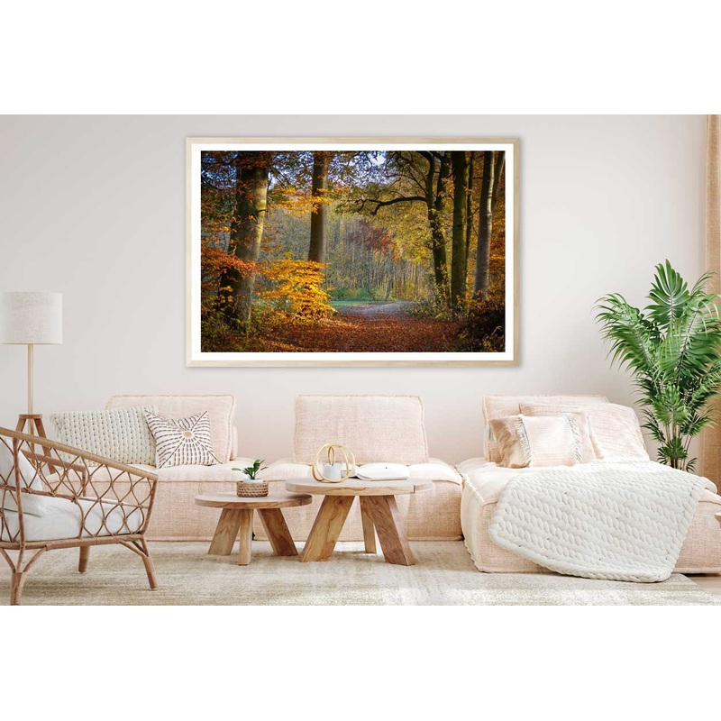 Autumn Forest Footpath Way View Photograph Home Decor Premium Quality Poster Print Choose Your Sizes