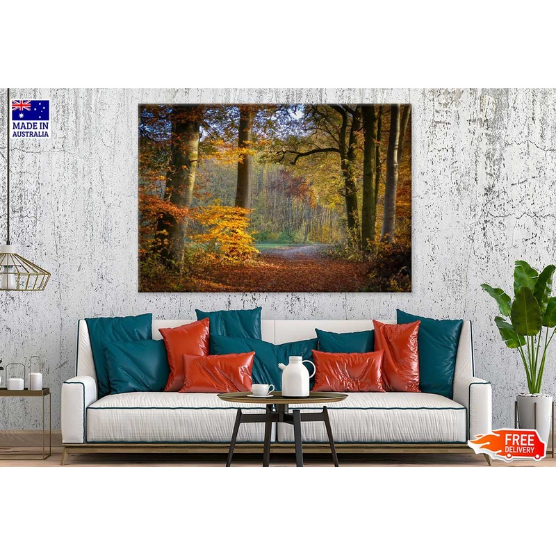 Autumn Forest Footpath Way View Photograph Print 100% Australian Made