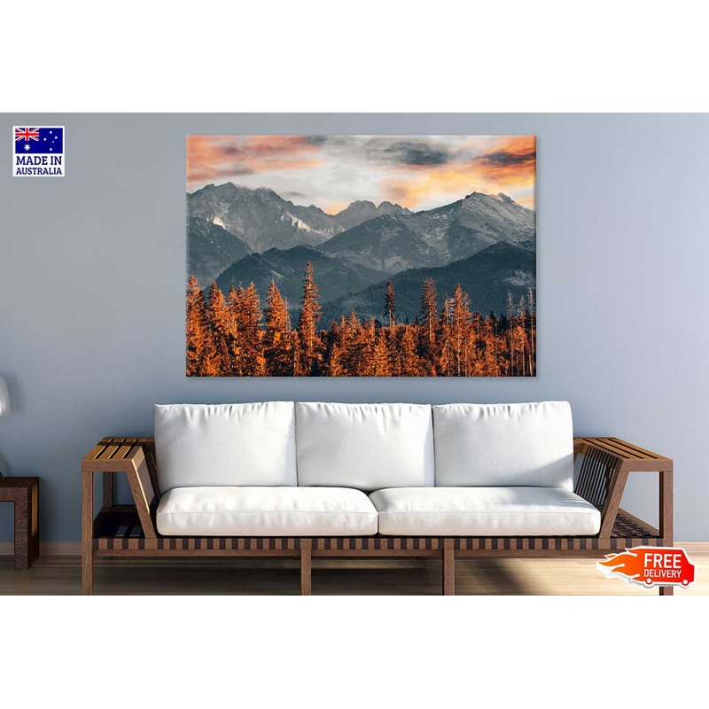 Autumn Trees near Mountains View Photograph Print 100% Australian Made